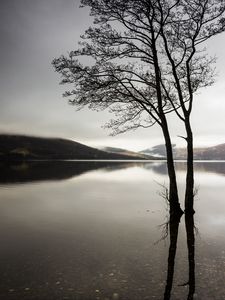 Preview wallpaper trees, lake, water, reflection, hills, nature