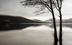 Preview wallpaper trees, lake, water, reflection, hills, nature