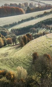 Preview wallpaper trees, landscape, fields, meadows, grass, slope