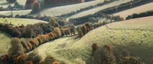 Preview wallpaper trees, landscape, fields, meadows, grass, slope