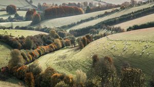 Preview wallpaper trees, landscape, fields, meadows, grass, slope