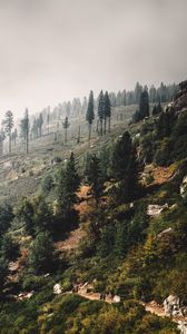 Preview wallpaper trees, landscape, hill, slope