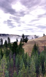Preview wallpaper trees, landscape, hills, nature, clouds