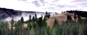 Preview wallpaper trees, landscape, hills, nature, clouds