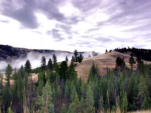 Preview wallpaper trees, landscape, hills, nature, clouds