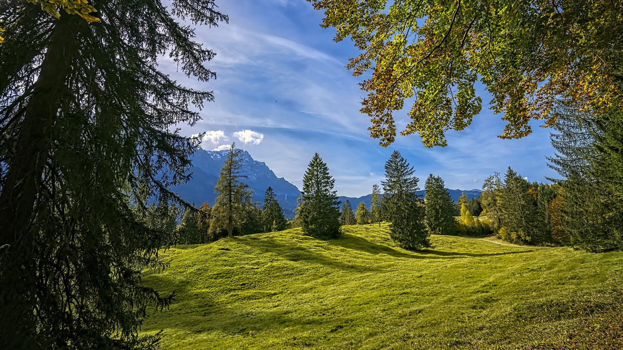 Wallpaper trees, landscape, meadow, grass