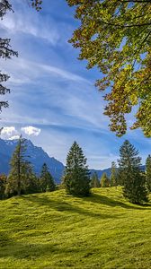 Preview wallpaper trees, landscape, meadow, grass