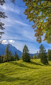 Preview wallpaper trees, landscape, meadow, grass