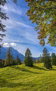 Preview wallpaper trees, landscape, meadow, grass