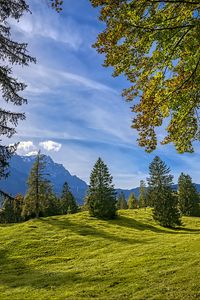 Preview wallpaper trees, landscape, meadow, grass