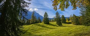 Preview wallpaper trees, landscape, meadow, grass