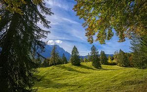 Preview wallpaper trees, landscape, meadow, grass