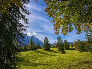 Preview wallpaper trees, landscape, meadow, grass