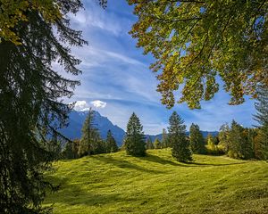 Preview wallpaper trees, landscape, meadow, grass