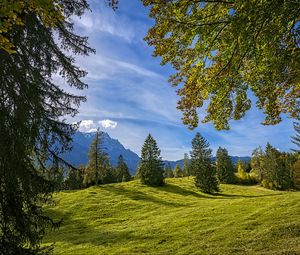 Preview wallpaper trees, landscape, meadow, grass