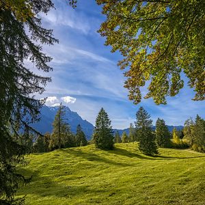 Preview wallpaper trees, landscape, meadow, grass