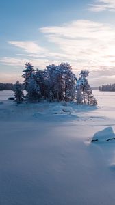 Preview wallpaper trees, landscape, snow, winter, glade
