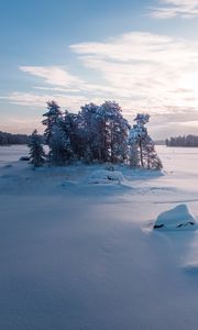 Preview wallpaper trees, landscape, snow, winter, glade