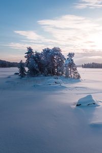 Preview wallpaper trees, landscape, snow, winter, glade