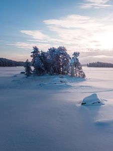 Preview wallpaper trees, landscape, snow, winter, glade