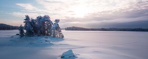 Preview wallpaper trees, landscape, snow, winter, glade