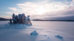 Preview wallpaper trees, landscape, snow, winter, glade