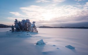 Preview wallpaper trees, landscape, snow, winter, glade