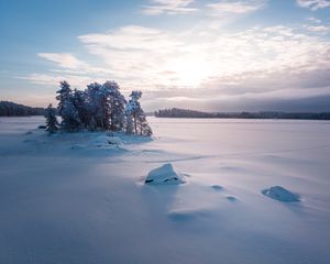 Preview wallpaper trees, landscape, snow, winter, glade