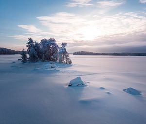 Preview wallpaper trees, landscape, snow, winter, glade