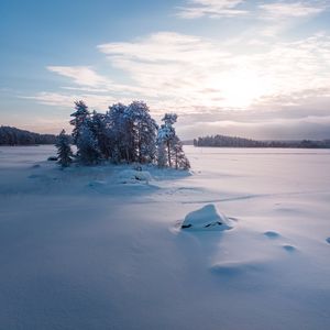 Preview wallpaper trees, landscape, snow, winter, glade