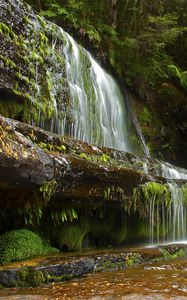 Preview wallpaper trees, landscape, waterfall, rocks