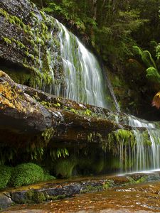 Preview wallpaper trees, landscape, waterfall, rocks