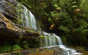 Preview wallpaper trees, landscape, waterfall, rocks