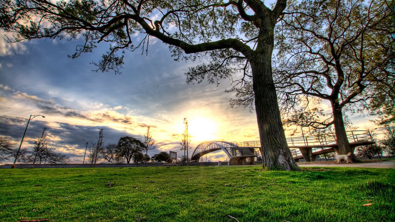 Wallpaper trees, landscapes, grass, city, hdr