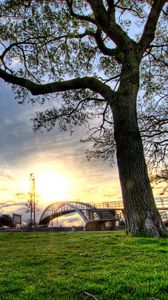 Preview wallpaper trees, landscapes, grass, city, hdr