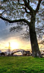 Preview wallpaper trees, landscapes, grass, city, hdr