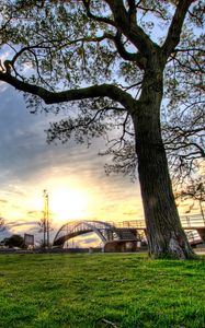 Preview wallpaper trees, landscapes, grass, city, hdr