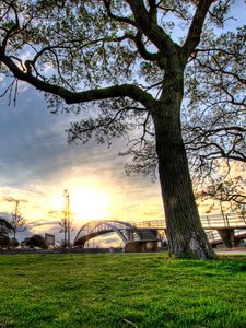 Preview wallpaper trees, landscapes, grass, city, hdr