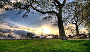 Preview wallpaper trees, landscapes, grass, city, hdr