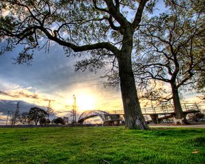 Preview wallpaper trees, landscapes, grass, city, hdr