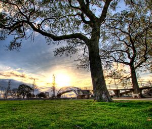 Preview wallpaper trees, landscapes, grass, city, hdr