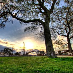 Preview wallpaper trees, landscapes, grass, city, hdr