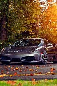 Preview wallpaper trees, leaves, ferrari, ferrari f430 scuderia, autumn