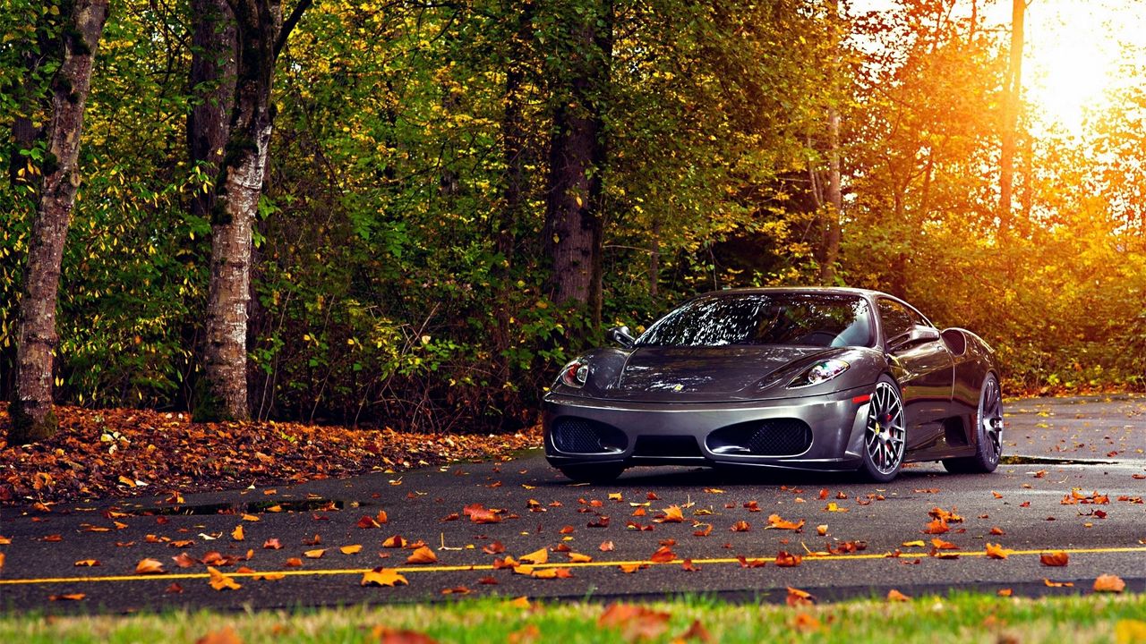 Wallpaper trees, leaves, ferrari, ferrari f430 scuderia, autumn hd