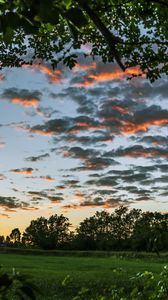 Preview wallpaper trees, leaves, field, twilight, landscape