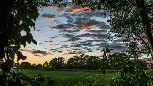 Preview wallpaper trees, leaves, field, twilight, landscape