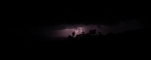 Preview wallpaper trees, lightning, night, dark