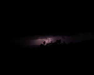 Preview wallpaper trees, lightning, night, dark