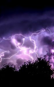 Preview wallpaper trees, lightning, sky, clouds