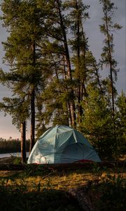 Preview wallpaper trees, log, nature, tent, sky, light
